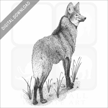 Maned Wolf