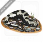 Marbled Salamander stock image