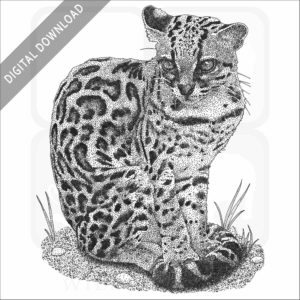 Margay
