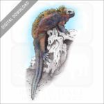 Marine Iguana stock image