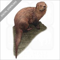 Marine Otter stock image