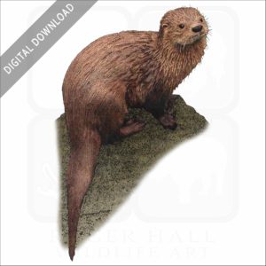 Marine Otter stock image