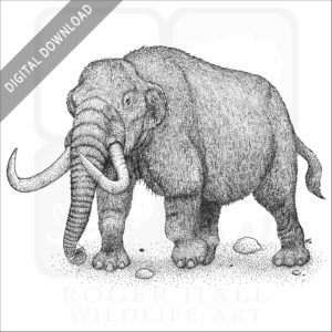 American Mastodon