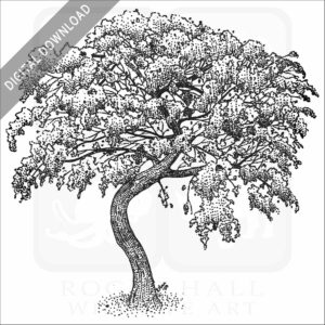 Mesquite Tree stock image