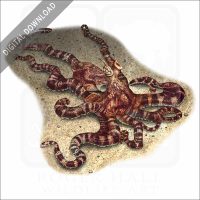 Mimic Octopus stock image