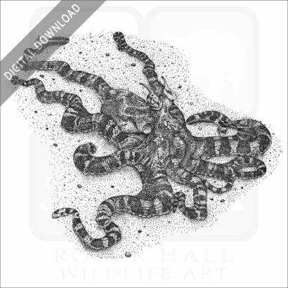 Mimic Octopus
