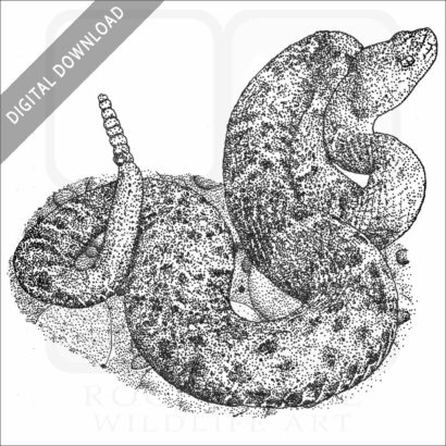 New Mexico Ridge-Nosed Rattlesnake