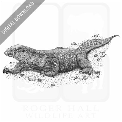 Nile Monitor