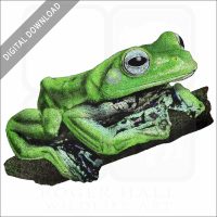 Norhayati's Flying Frog stock image