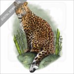 North China Leopard stock image