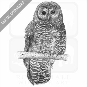 Northern Spotted Owl