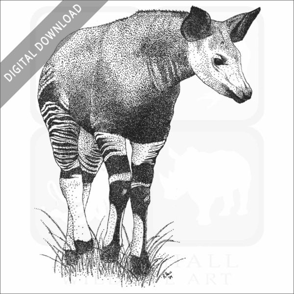 Okapi