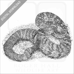 Eastern Black-Tailed Rattlesnake