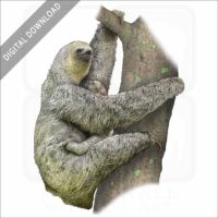 Pale-Throated Sloth stock image