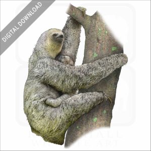 Pale-Throated Sloth stock image