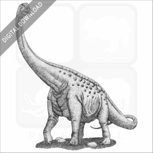 Paluxysaurus