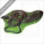 Paradise Tree Snake stock image