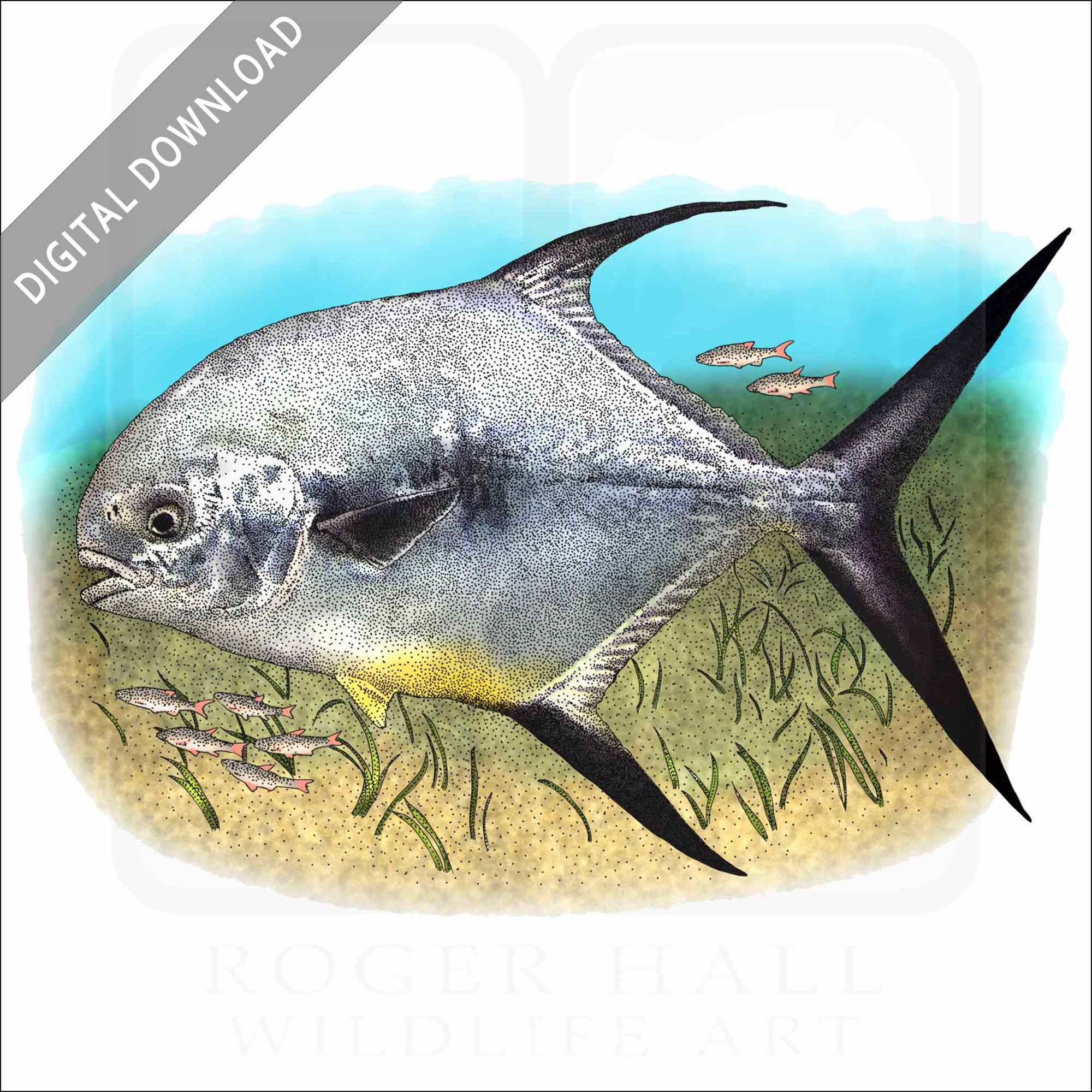 Permit Permit stock image
