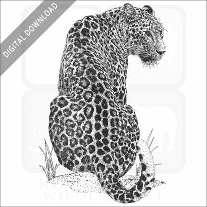 Persian Leopard