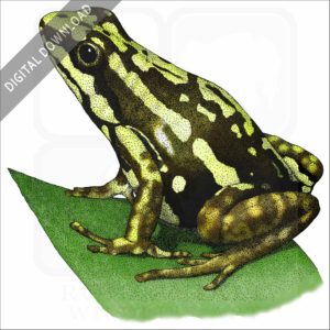 Phantasmal Poison Dart Frog stock image