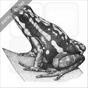 Phantasmal Poison Dart Frog