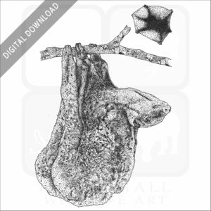 Philippine Flying Lemur