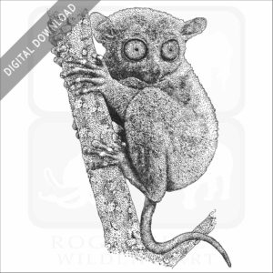 Philippine Tarsier