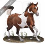 Pinto Horse stock image