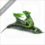 Plumed Basilisk stock image