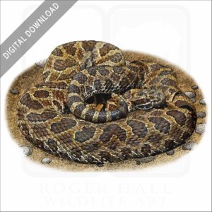 Prairie Massasauga stock image