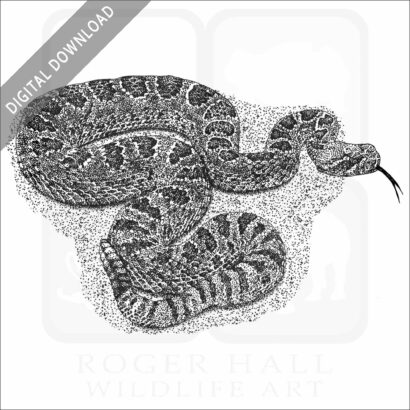 Prairie Rattlesnake
