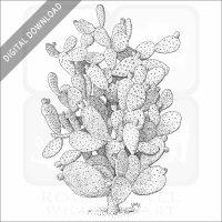 Prickly Pear Cactus stock image