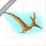 Pteranodon or Pterodactyl stock image
