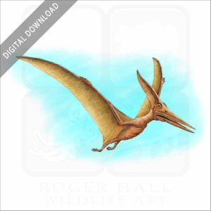 Pteranodon or Pterodactyl stock image