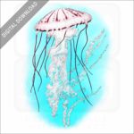 Purple-Striped Jellyfish stock image