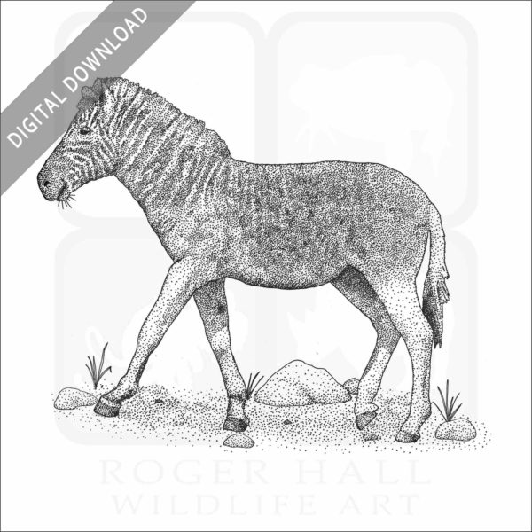 Quagga