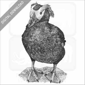 Tufted Puffin
