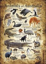 Animals of Australia