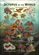 Octopus of the World poster print
