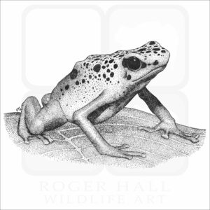 Blue Poison Dart Frog