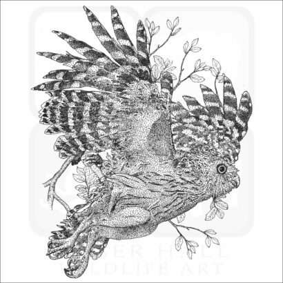 Buffy Fish Owl
