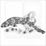 California Swell Shark