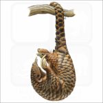 Chinese Pangolin illustration