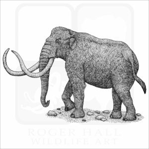 Columbia Mammoth