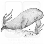Dugong - Signed Fine Art Print - Image 2