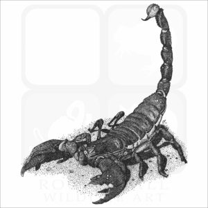 Emperor Scorpion
