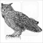Eurasian Eagle Owl - Signed Fine Art Print - Image 2