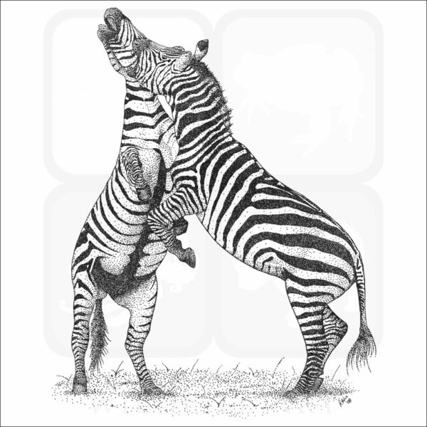 Grant's Zebras