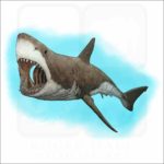 Great White Shark illustration