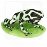 Green & Black Poison Dart Frog illustration
